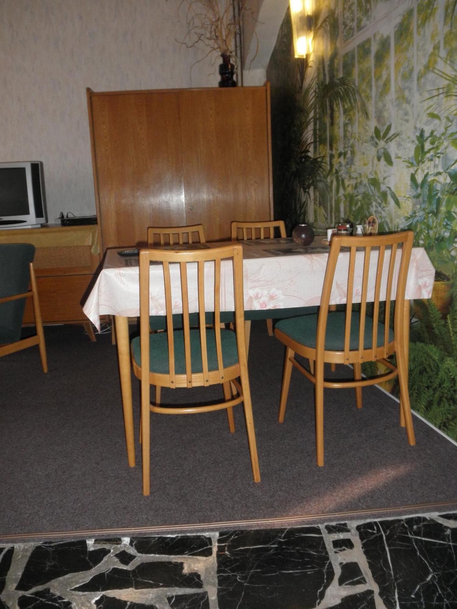 Pension U Kaktusu Karlovy Vary Dış mekan fotoğraf