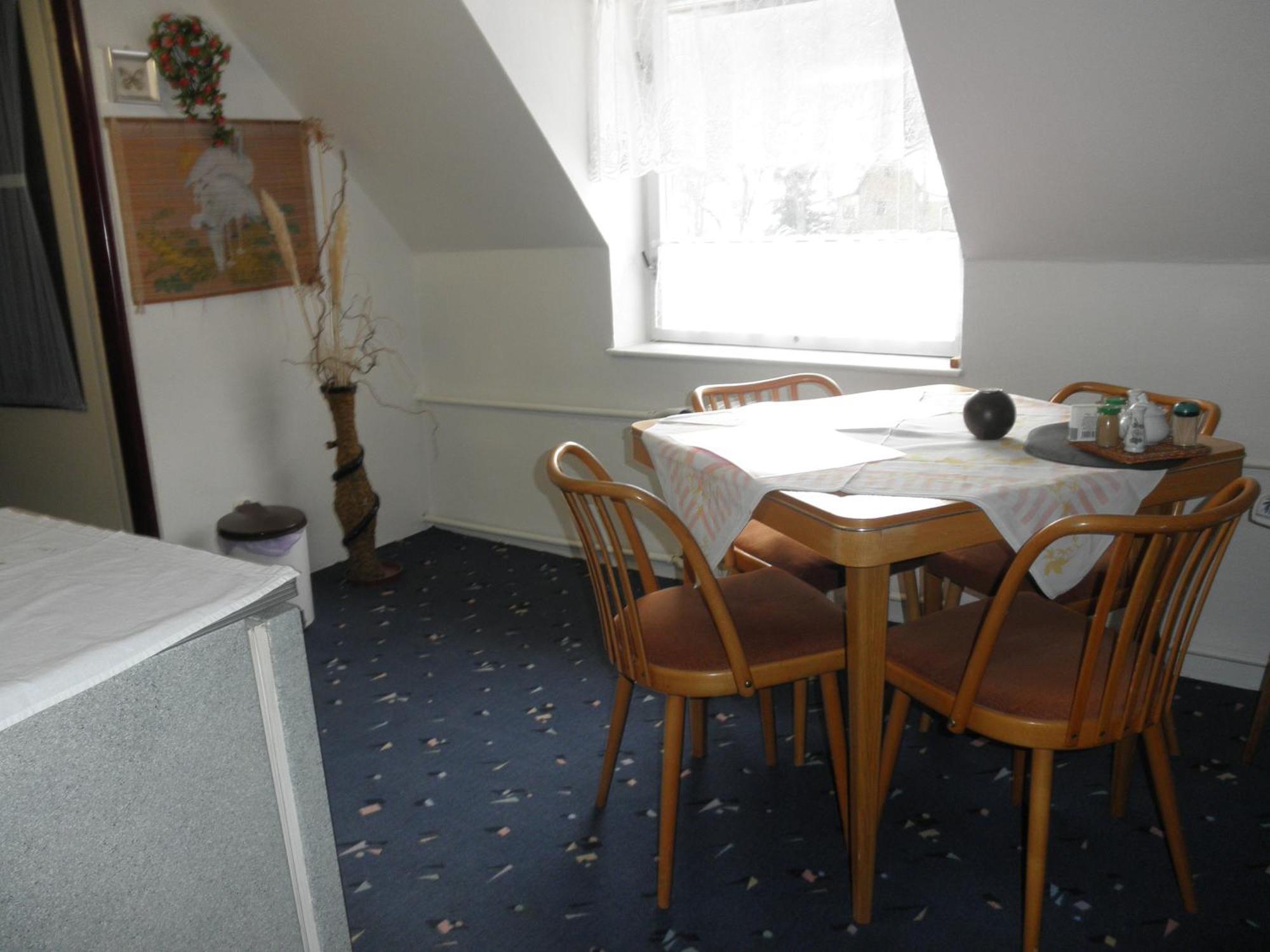 Pension U Kaktusu Karlovy Vary Dış mekan fotoğraf
