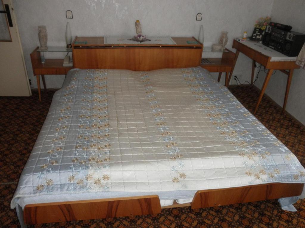 Pension U Kaktusu Karlovy Vary Oda fotoğraf