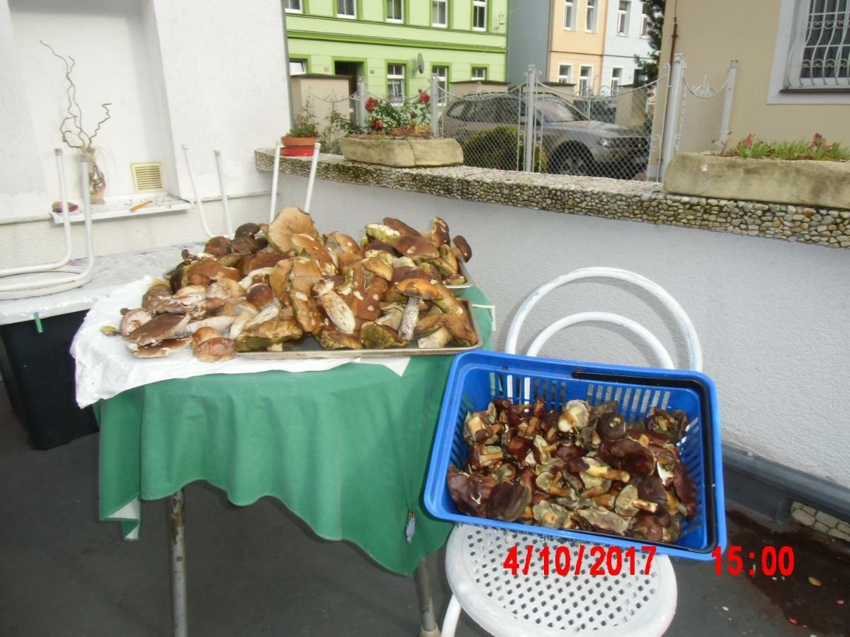 Pension U Kaktusu Karlovy Vary Dış mekan fotoğraf
